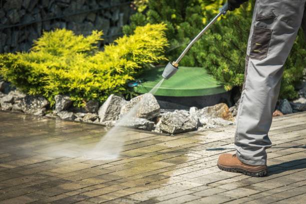 Best Gas Station Cleaning  in St Joseph, MN