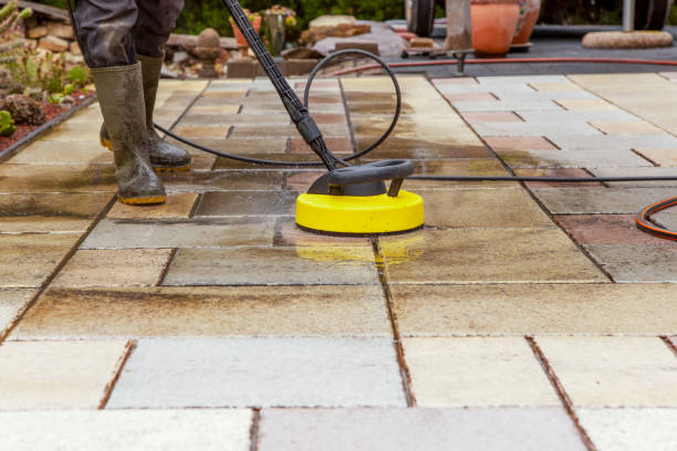 Best Gutter Cleaning  in St Joseph, MN