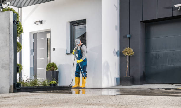 Best Building Exterior Washing  in St Joseph, MN